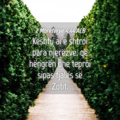 Picture 04 - 2 Mbretërve 4:44 ALB - Kështu ai e shtroi para njerëzve, që hëngrën - Bible Verse Picture
