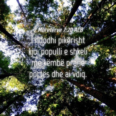 Picture 04 - 2 Mbretërve 7:20 ALB - I ndodhi pikërisht kjo: populli e shkeli me - Bible Verse Picture