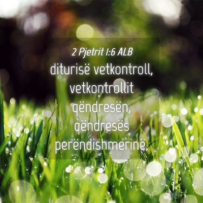 Picture 04 - 2 Pjetrit 1:6 ALB - diturisë vetkontroll, vetkontrollit qëndresën, - Bible Verse Picture