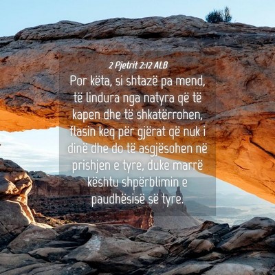 Picture 04 - 2 Pjetrit 2:12 ALB - Por këta, si shtazë pa mend, të lindura nga - Bible Verse Picture