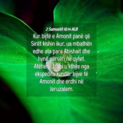 Picture 04 - 2 Samuelit 10:14 ALB - Kur bijtë e Amonit panë që Sirët kishin ikur, - Bible Verse Picture