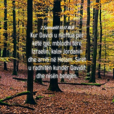 Picture 04 - 2 Samuelit 10:17 ALB - Kur Davidi u njoftua për këtë gjë, mblodhi - Bible Verse Picture