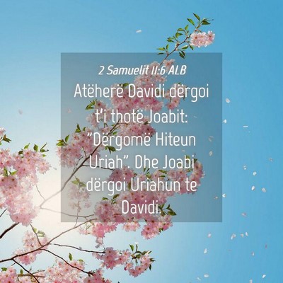 Picture 04 - 2 Samuelit 11:6 ALB - Atëherë Davidi dërgoi t’i thotë Joabit: - Bible Verse Picture