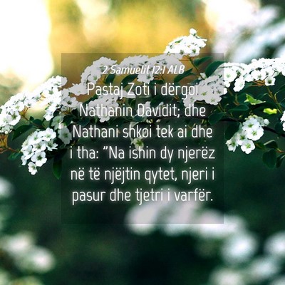 Picture 04 - 2 Samuelit 12:1 ALB - Pastaj Zoti i dërgoi Nathanin Davidit; dhe - Bible Verse Picture