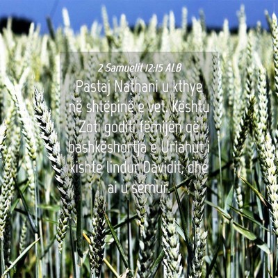 Picture 04 - 2 Samuelit 12:15 ALB - Pastaj Nathani u kthye në shtëpinë e vet. - Bible Verse Picture