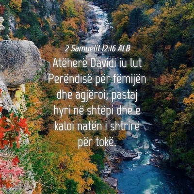 Picture 04 - 2 Samuelit 12:16 ALB - Atëherë Davidi iu lut Perëndisë për - Bible Verse Picture