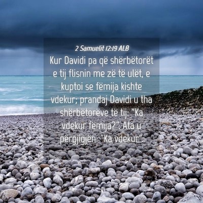 Picture 04 - 2 Samuelit 12:19 ALB - Kur Davidi pa që shërbëtorët e tij flisnin me - Bible Verse Picture