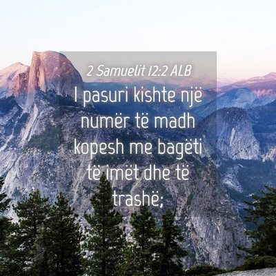 Picture 04 - 2 Samuelit 12:2 ALB - I pasuri kishte një numër të madh kopesh me - Bible Verse Picture