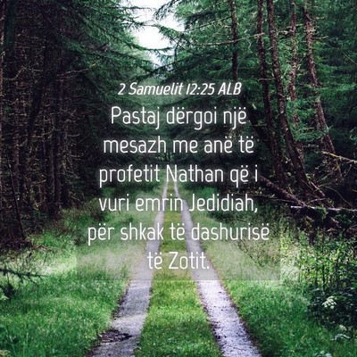 Picture 04 - 2 Samuelit 12:25 ALB - Pastaj dërgoi një mesazh me anë të profetit - Bible Verse Picture