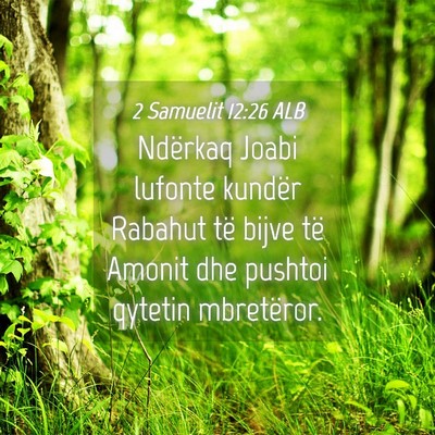 Picture 04 - 2 Samuelit 12:26 ALB - Ndërkaq Joabi lufonte kundër Rabahut të bijve - Bible Verse Picture