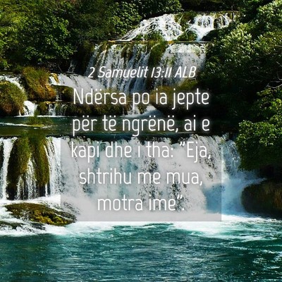 Picture 04 - 2 Samuelit 13:11 ALB - Ndërsa po ia jepte për të ngrënë, ai e kapi - Bible Verse Picture