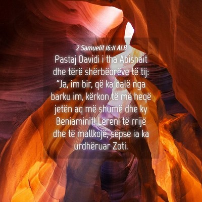 Picture 04 - 2 Samuelit 16:11 ALB - Pastaj Davidi i tha Abishait dhe tërë - Bible Verse Picture