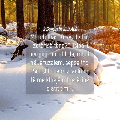 Picture 04 - 2 Samuelit 16:3 ALB - Mbreti tha: 