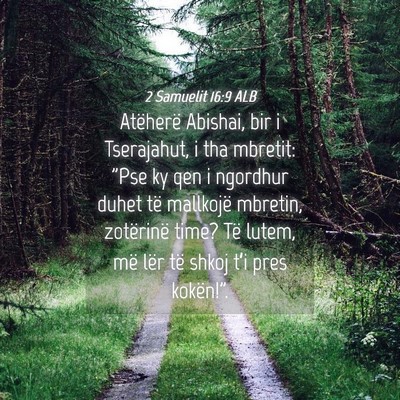 Picture 04 - 2 Samuelit 16:9 ALB - Atëherë Abishai, bir i Tserajahut, i tha - Bible Verse Picture