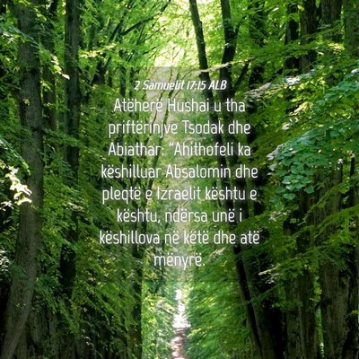 Picture 04 - 2 Samuelit 17:15 ALB - Atëherë Hushai u tha priftërinjve Tsodak dhe - Bible Verse Picture