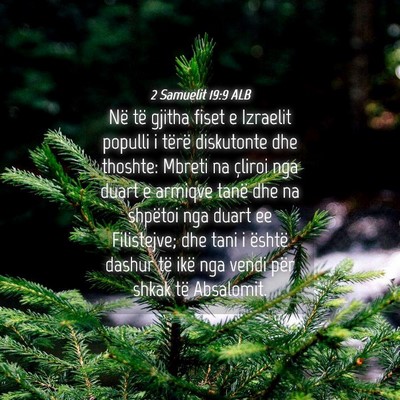 Picture 04 - 2 Samuelit 19:9 ALB - Në të gjitha fiset e Izraelit populli i tërë - Bible Verse Picture