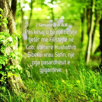 Picture 04 - 2 Samuelit 21:18 ALB - Pas kësaj u bë një betejë tjetër me - Bible Verse Picture