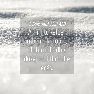 Picture 04 - 2 Samuelit 22:11 ALB - Ai rrinte kaluar mbi një kerubin, fluturonte dhe - Bible Verse Picture