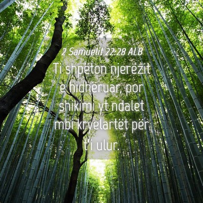 Picture 04 - 2 Samuelit 22:28 ALB - Ti shpëton njerëzit e hidhëruar, por shikimi - Bible Verse Picture