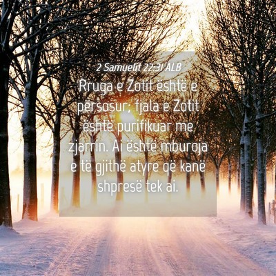 Picture 04 - 2 Samuelit 22:31 ALB - Rruga e Zotit është e përsosur; fjala e Zotit - Bible Verse Picture