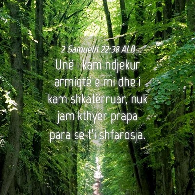 Picture 04 - 2 Samuelit 22:38 ALB - Unë i kam ndjekur armiqtë e mi dhe i kam - Bible Verse Picture