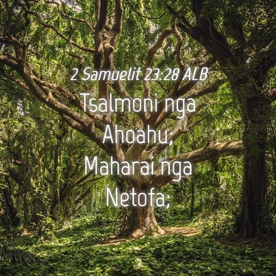 Picture 04 - 2 Samuelit 23:28 ALB - Tsalmoni nga Ahoahu; Maharai nga - Bible Verse Picture