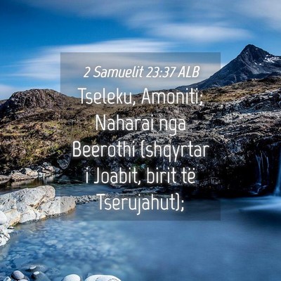 Picture 04 - 2 Samuelit 23:37 ALB - Tseleku, Amoniti; Naharai nga Beerothi (shqyrtar - Bible Verse Picture