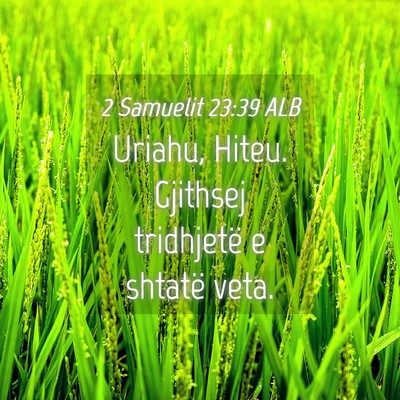 Picture 04 - 2 Samuelit 23:39 ALB - Uriahu, Hiteu. Gjithsej tridhjetë e shtatë - Bible Verse Picture