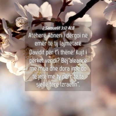 Picture 04 - 2 Samuelit 3:12 ALB - Atëherë Abneri i dërgoi në emër të tij - Bible Verse Picture