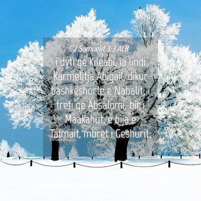 Picture 04 - 2 Samuelit 3:3 ALB - i dyti qe Kileabi, ia lindi Karmelitja Abigail, - Bible Verse Picture