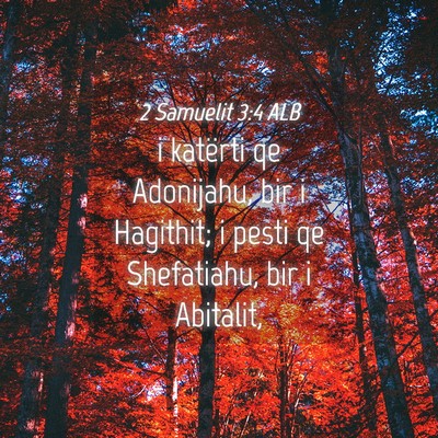 Picture 04 - 2 Samuelit 3:4 ALB - i katërti qe Adonijahu, bir i Hagithit; i pesti - Bible Verse Picture