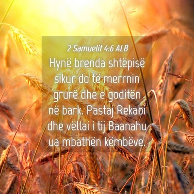 Picture 04 - 2 Samuelit 4:6 ALB - Hynë brenda shtëpisë sikur do të merrnin - Bible Verse Picture