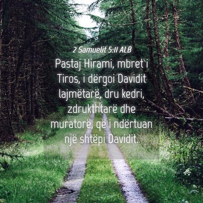 Picture 04 - 2 Samuelit 5:11 ALB - Pastaj Hirami, mbret i Tiros, i dërgoi Davidit - Bible Verse Picture