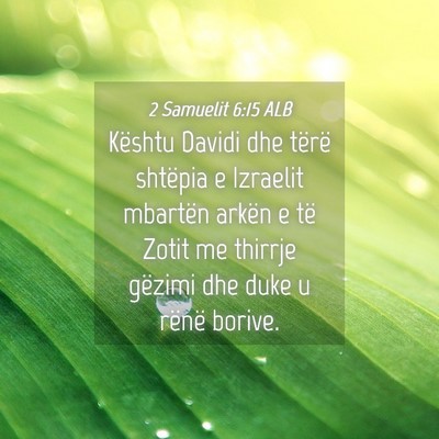 Picture 04 - 2 Samuelit 6:15 ALB - Kështu Davidi dhe tërë shtëpia e Izraelit - Bible Verse Picture