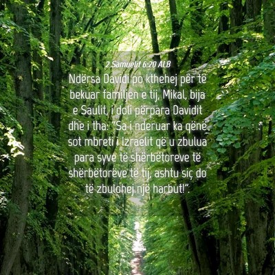 Picture 04 - 2 Samuelit 6:20 ALB - Ndërsa Davidi po kthehej për të bekuar - Bible Verse Picture
