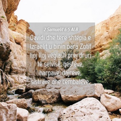 Picture 04 - 2 Samuelit 6:5 ALB - Davidi dhe tërë shtëpia e Izraelit u binin - Bible Verse Picture
