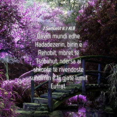 Picture 04 - 2 Samuelit 8:3 ALB - Davidi mundi edhe Hadadezerin, birin e Rehobit, - Bible Verse Picture