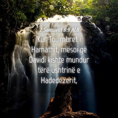 Picture 04 - 2 Samuelit 8:9 ALB - Kur Toi, mbret i Hamathit, mësoi që Davidi - Bible Verse Picture