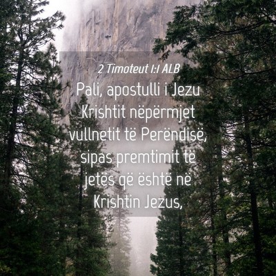 Picture 04 - 2 Timoteut 1:1 ALB - Pali, apostulli i Jezu Krishtit nëpërmjet - Bible Verse Picture
