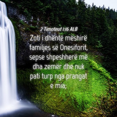 Picture 04 - 2 Timoteut 1:16 ALB - Zoti i dhëntë mëshirë familjes së - Bible Verse Picture