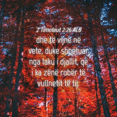 Picture 04 - 2 Timoteut 2:26 ALB - dhe të vijnë në vete, duke shpëtuar nga laku - Bible Verse Picture