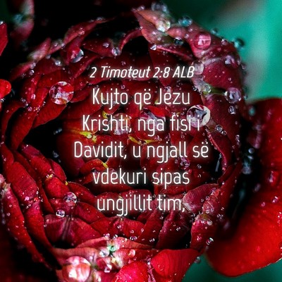 Picture 04 - 2 Timoteut 2:8 ALB - Kujto që Jezu Krishti, nga fisi i Davidit, u - Bible Verse Picture