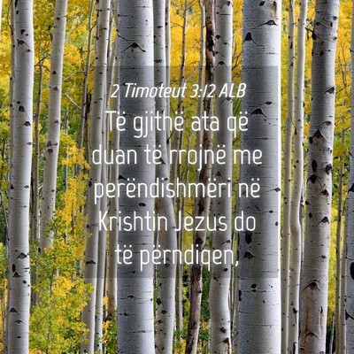 Picture 04 - 2 Timoteut 3:12 ALB - Të gjithë ata që duan të rrojnë me - Bible Verse Picture