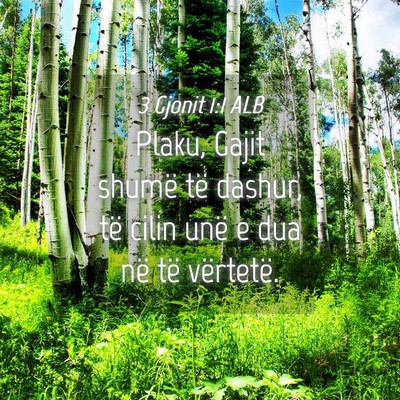 Picture 04 - 3 Gjonit 1:1 ALB - Plaku, Gajit shumë të dashur, të cilin unë e - Bible Verse Picture