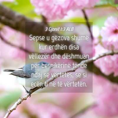 Picture 04 - 3 Gjonit 1:3 ALB - Sepse u gëzova shumë kur erdhën disa - Bible Verse Picture