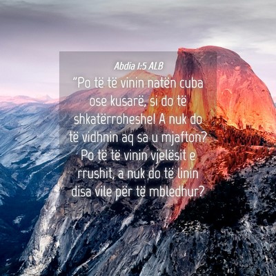 Picture 04 - Abdia 1:5 ALB - 