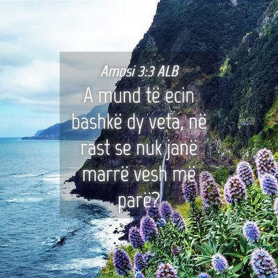 Picture 04 - Amosi 3:3 ALB - A mund të ecin bashkë dy veta, në rast se nuk - Bible Verse Picture