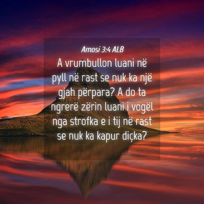 Picture 04 - Amosi 3:4 ALB - A vrumbullon luani në pyll në rast se nuk ka - Bible Verse Picture