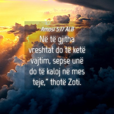 Picture 04 - Amosi 5:17 ALB - Në të gjitha vreshtat do të ketë vajtim, - Bible Verse Picture