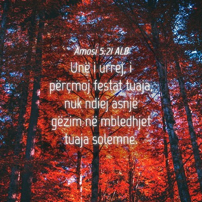 Picture 04 - Amosi 5:21 ALB - Unë i urrej, i përçmoj festat tuaja, nuk ndiej - Bible Verse Picture